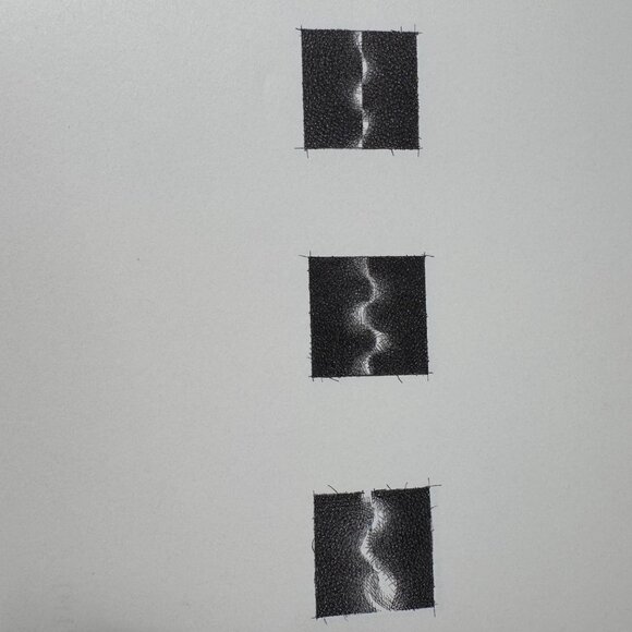 Christine Taylor Patten Micros Art Book 1999 Stinehour Press 1st Edition Signed - Picture 8 of 16